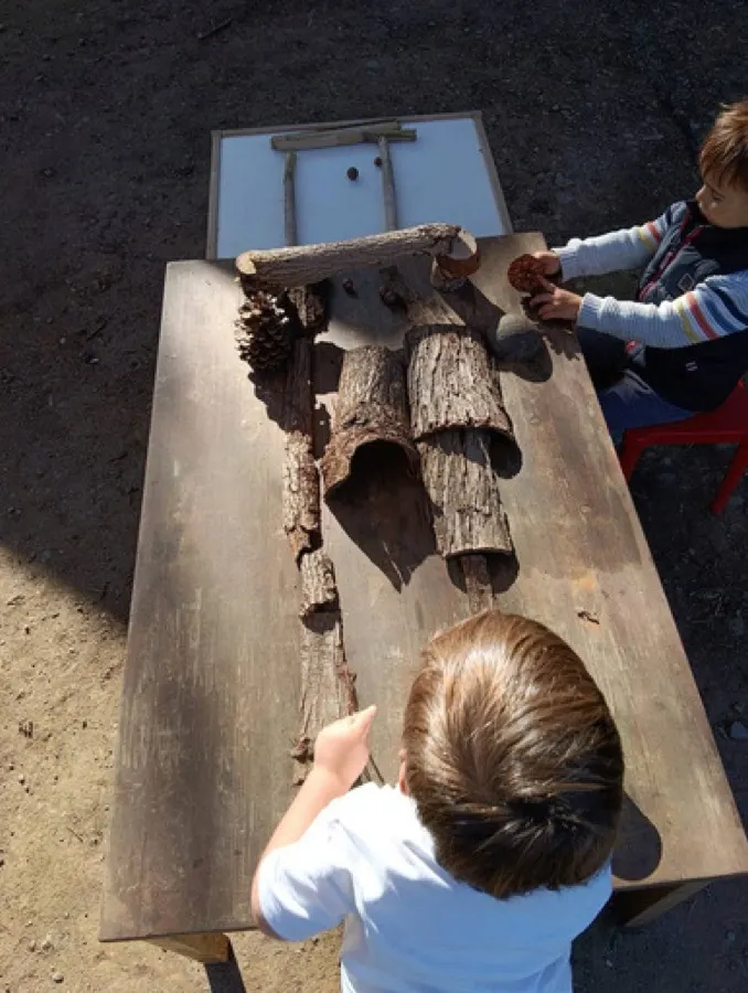 A wooden board of sticks and bark laid out to tap like an instrument