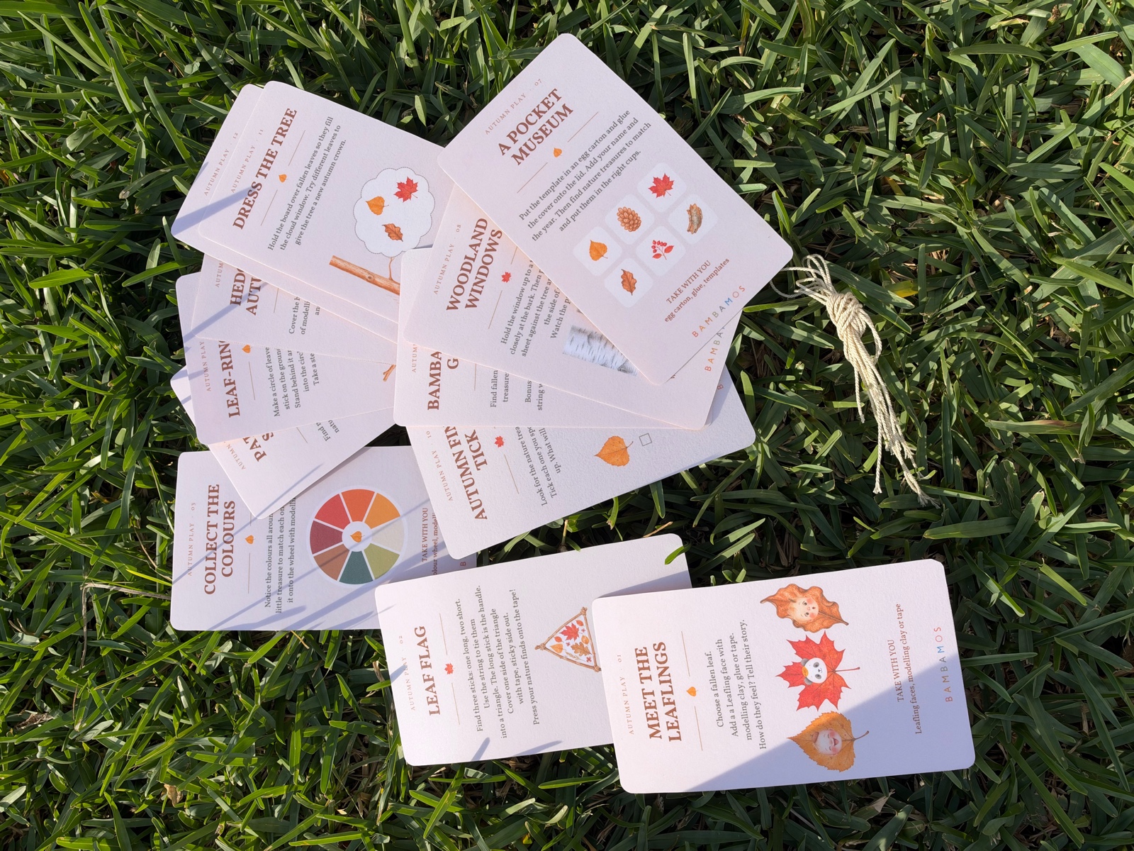Autumn Play cards on grass