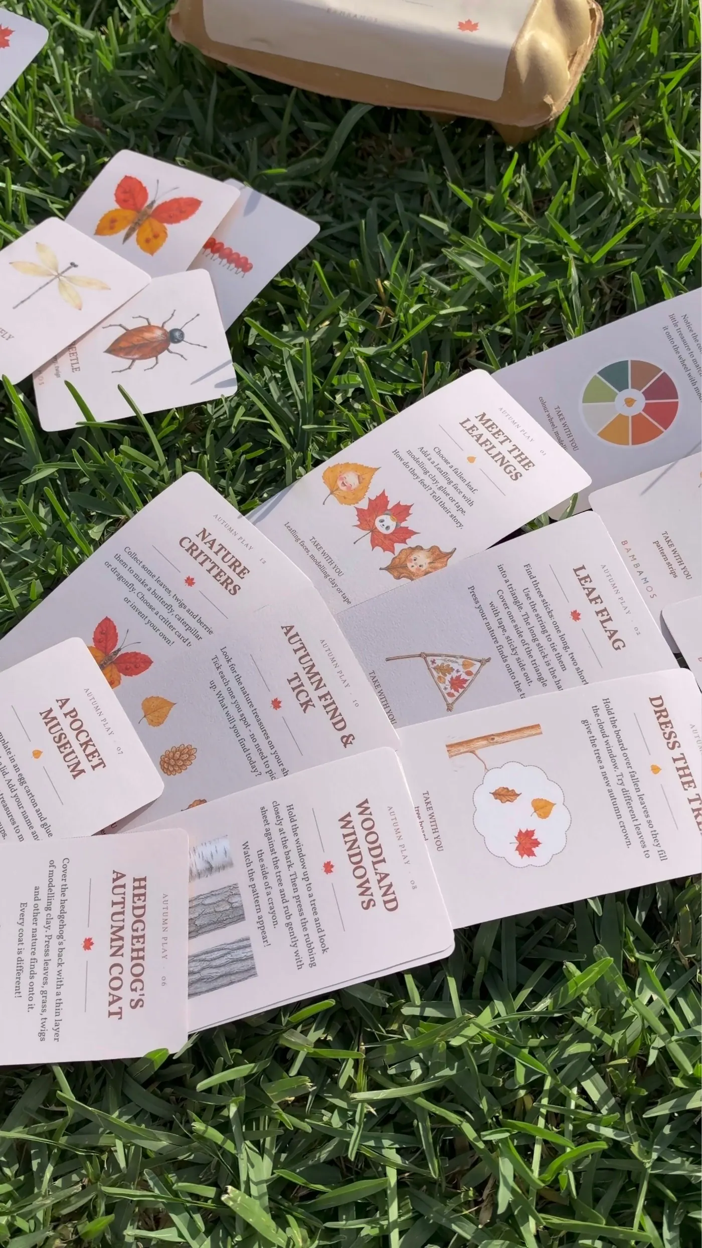 Autumn play outdoors