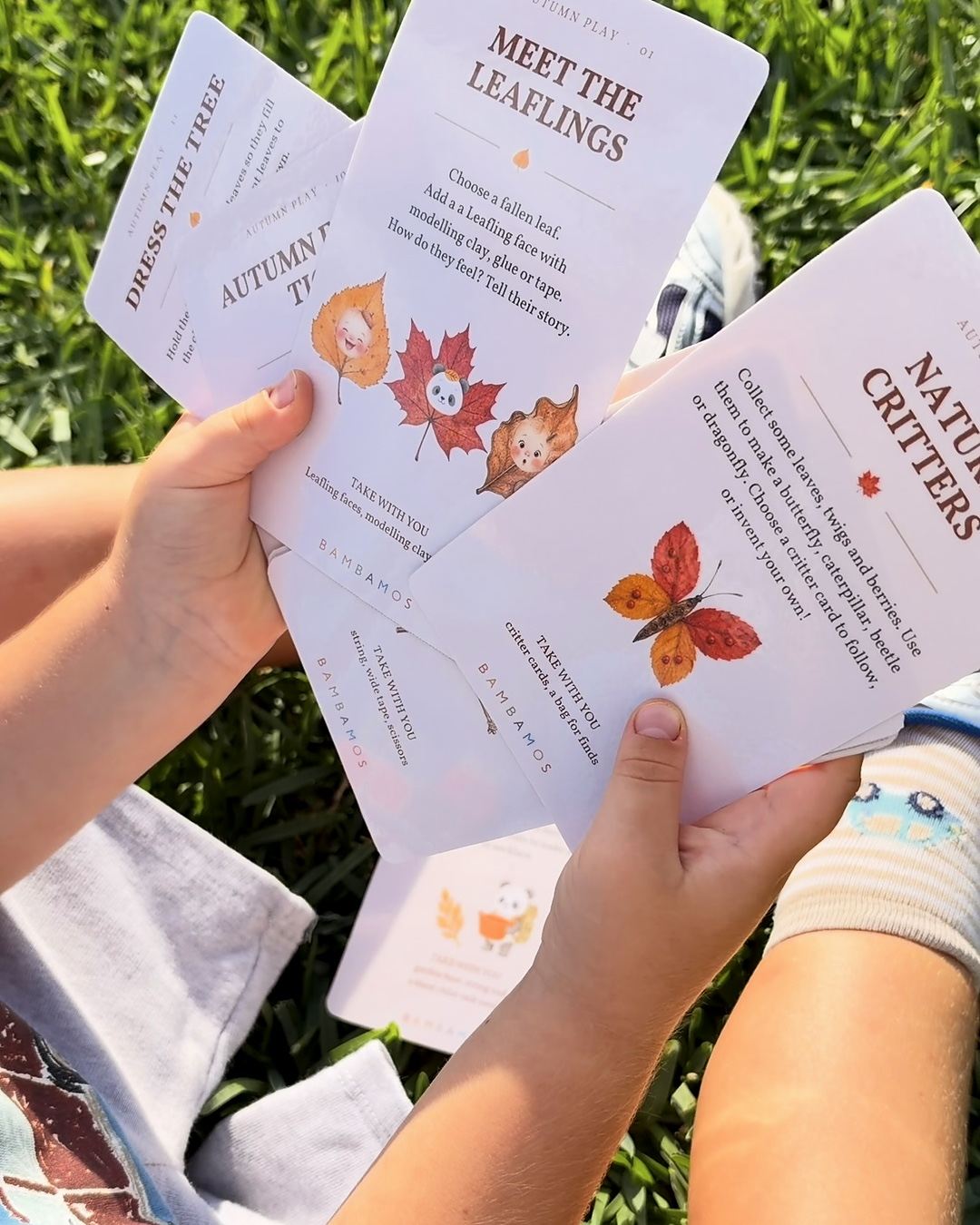 Child’s hands holding Autumn Play cards among fallen leaves