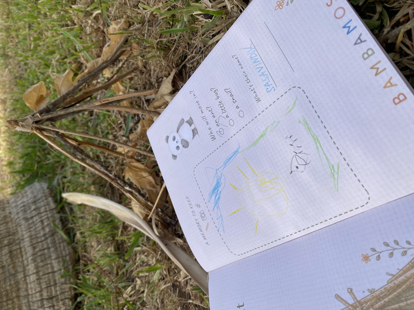 A filled Stick Shelter page with a child’s drawing of their den.