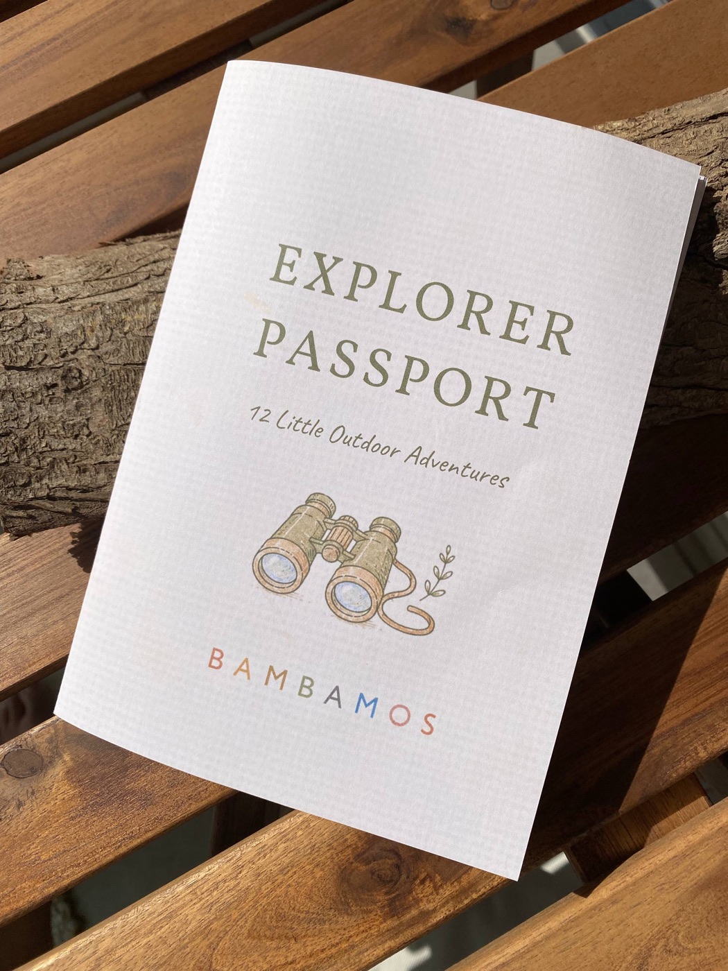 An open Explorer Passport page filled outside, with flowers taped in